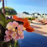 Sueno De Vida Alhaurín de la Torre