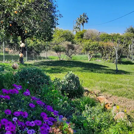 Bed and breakfast Sueño De Vida