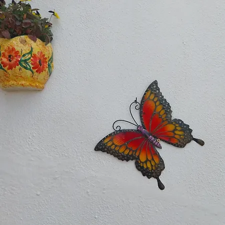 Bed & Breakfast Sueno De Vida 4*